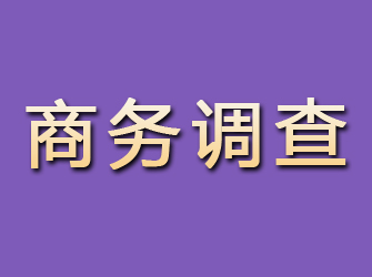 滴道商务调查